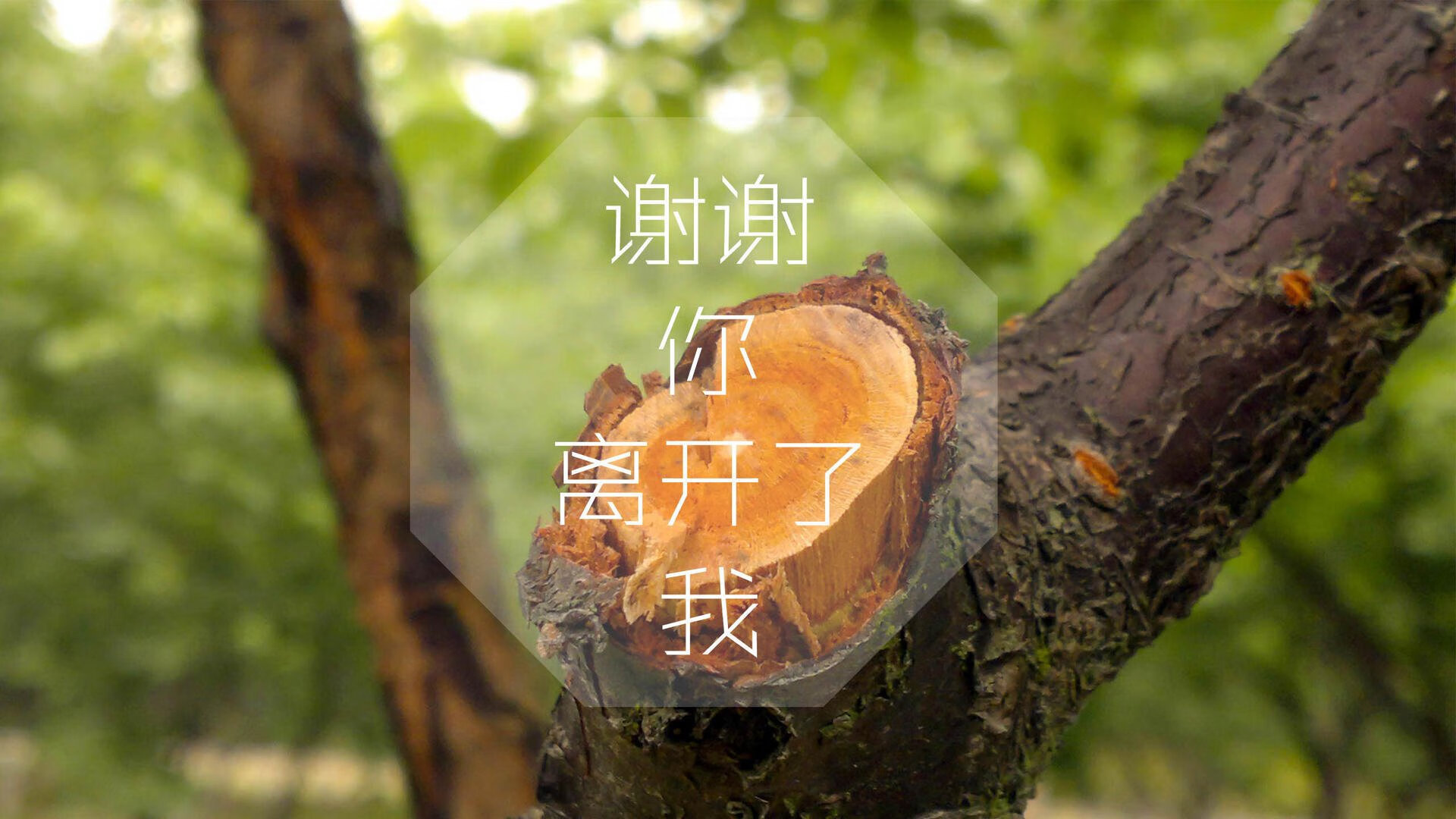 九游登录中心-利雅得新月锋线火力无人能挡，利雅得新月球衣品牌