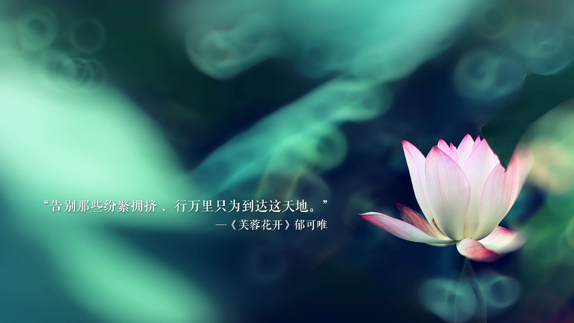 JiuyouAPP下载-宿迁农商行进攻火力强劲，多面手表现稳定，宿迁农商银行