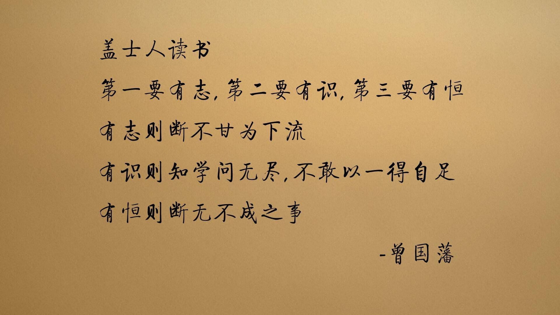 开拓者队新人表现持续走高，开拓者队怎么样