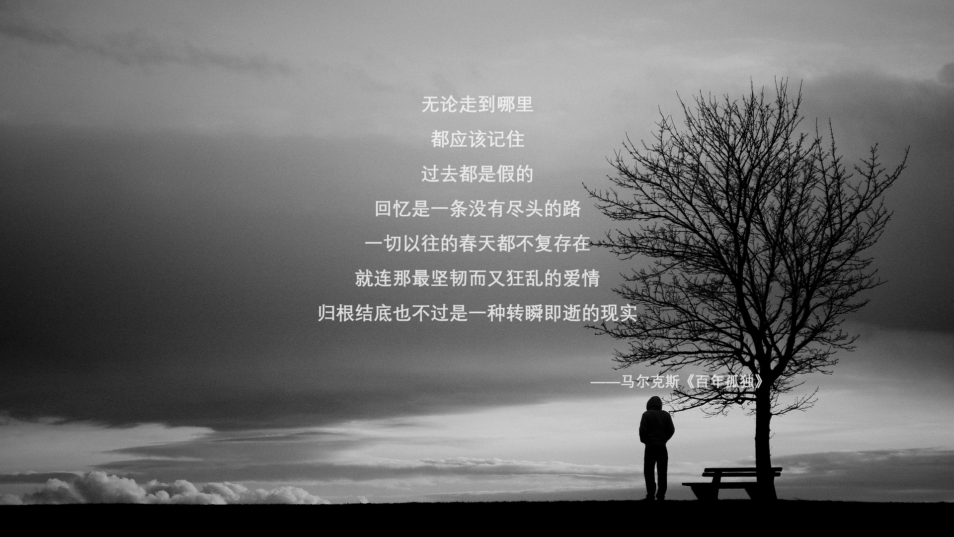 德国马术协会与欧洲马术协会签署合作协议，共同举办国际赛事。