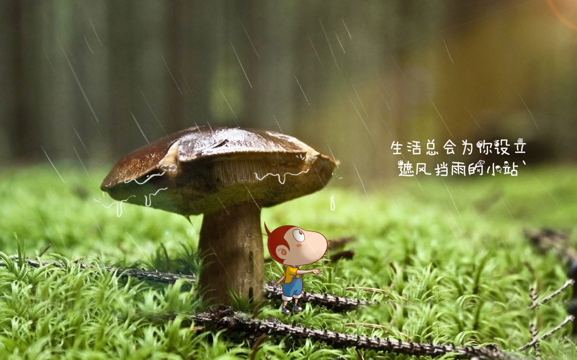 法甲青训营引入情绪调节策略减少比赛失误率，法甲青训排名